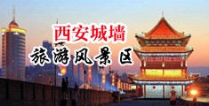 啊日啊插啊操啊在线观看中国陕西-西安城墙旅游风景区