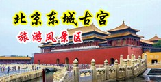 哦哦哦我射了视频中国北京-东城古宫旅游风景区